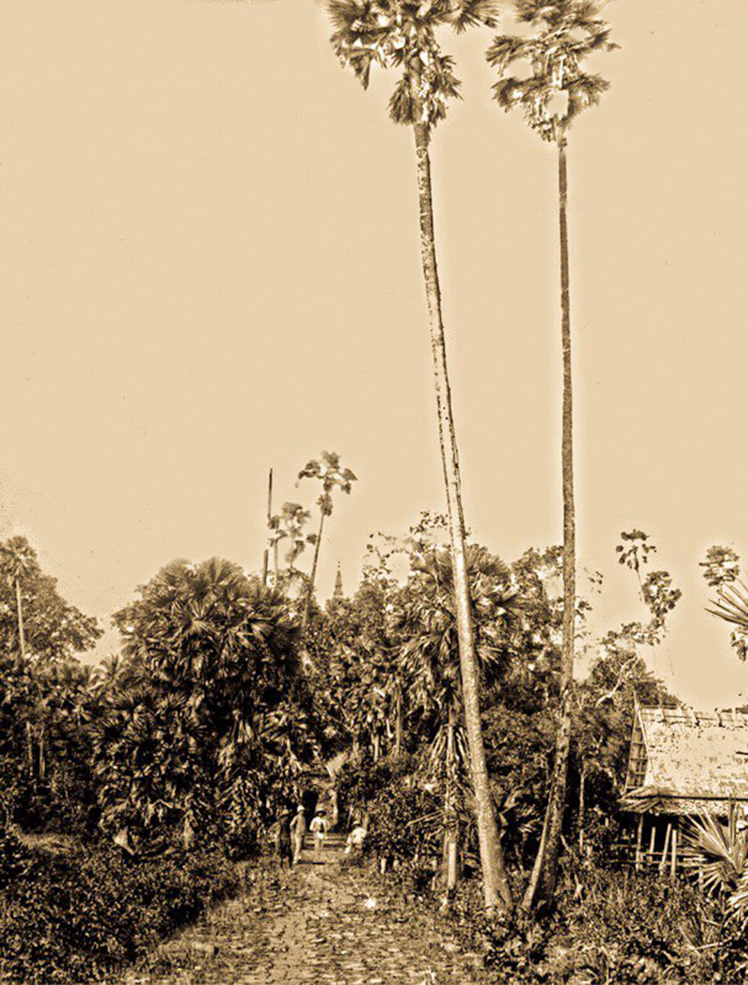 nakon panom BE2436 01