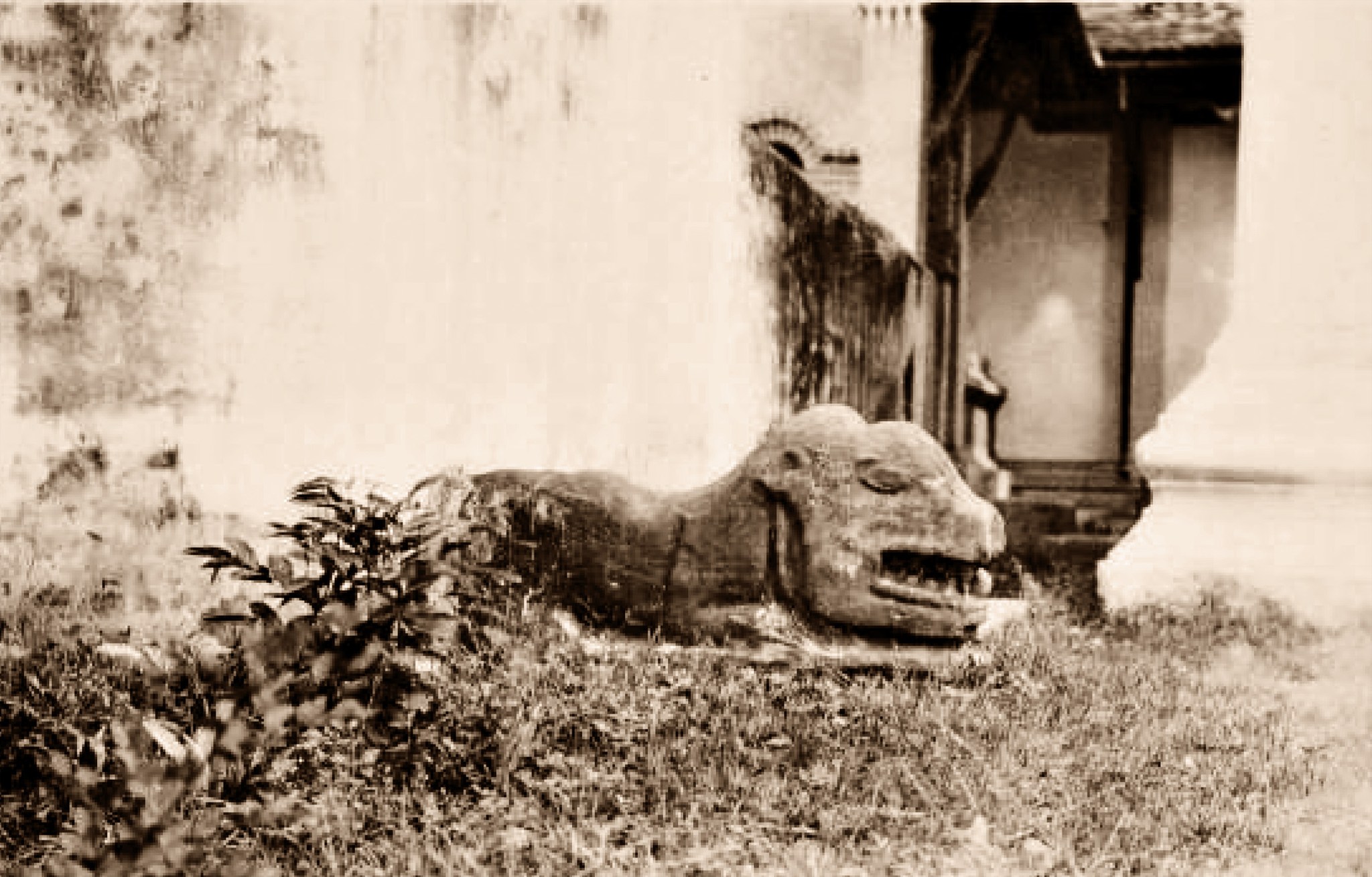 nakon panom BE2474 06