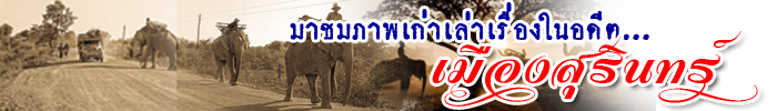 oldie surin