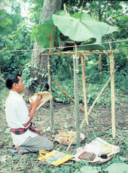puta