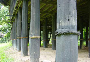 sao huan