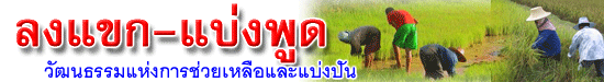 tok pood header