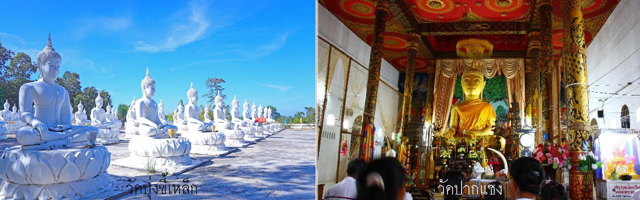 wat pak saeng