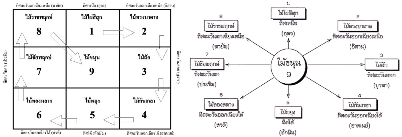 การตอกไม้มงคล 9 ชนิดในหลุมเสาก่อสร้างบ้าน
