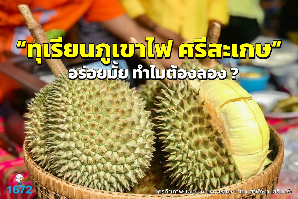 durian sk 2568