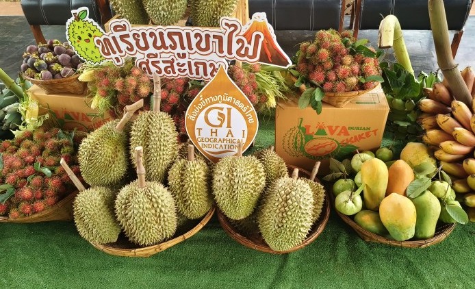 durian sk 2568 2