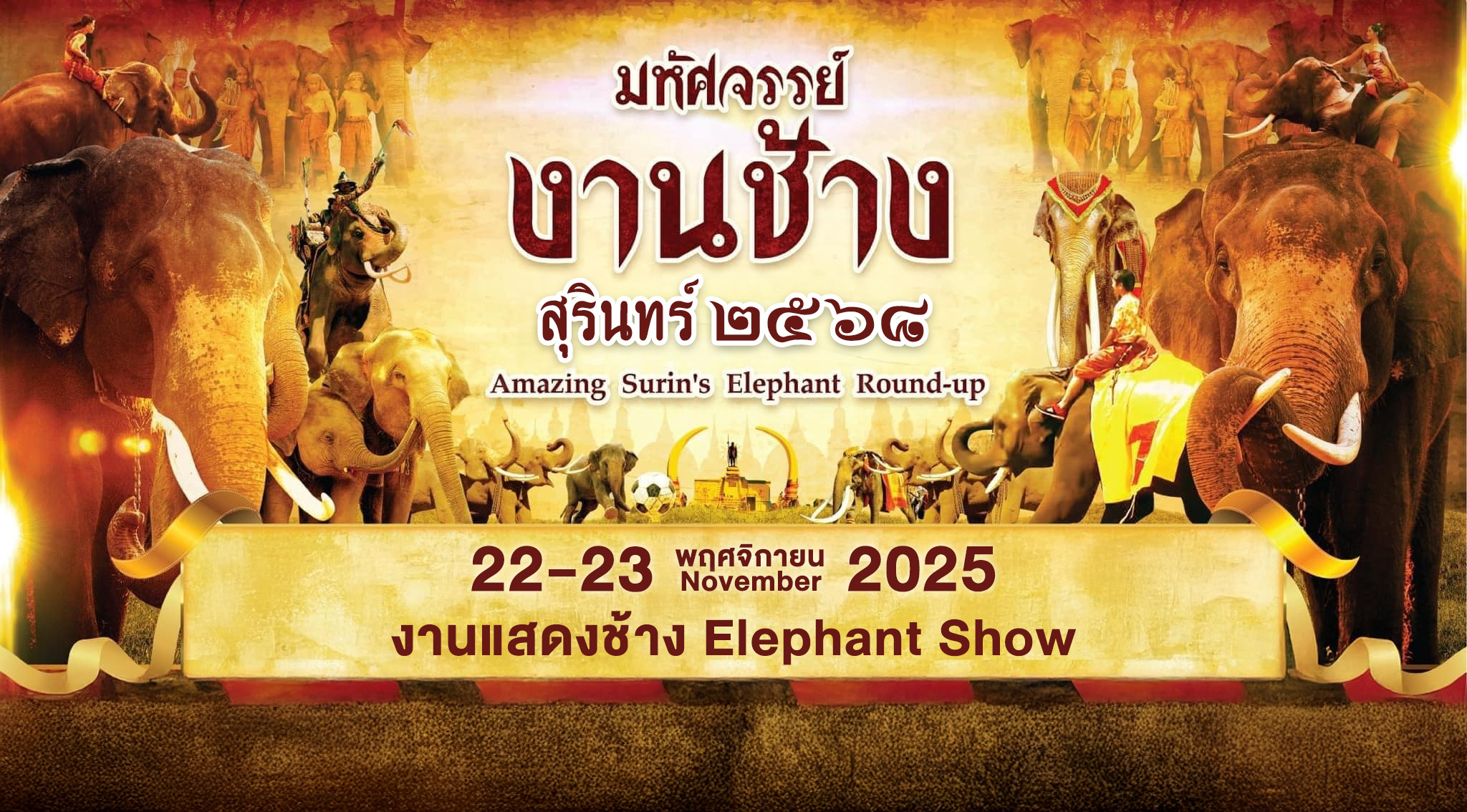 elephant surin2568 2