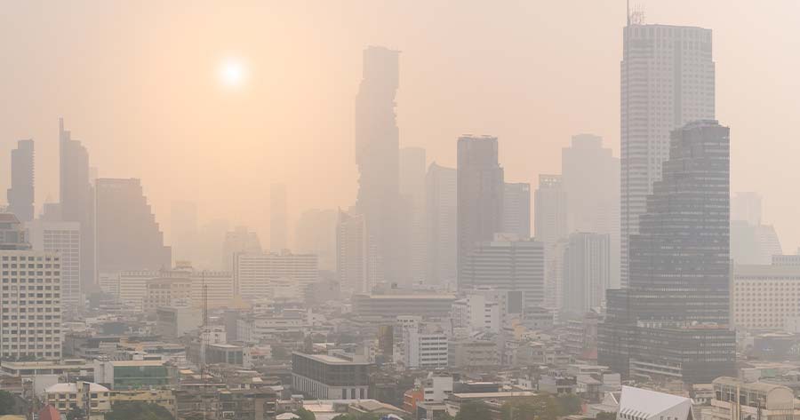 dust PM2.5