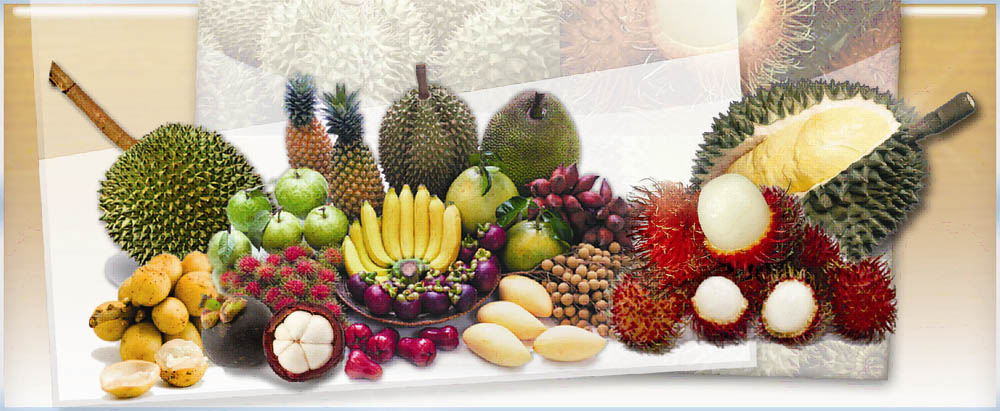 fruits isan