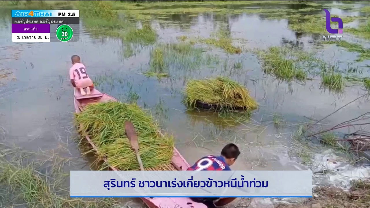 kiew kao nee nam