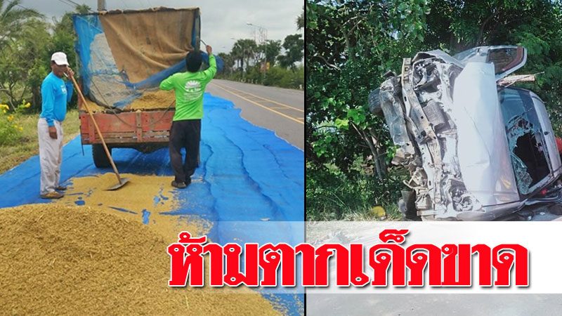 rice on road 01