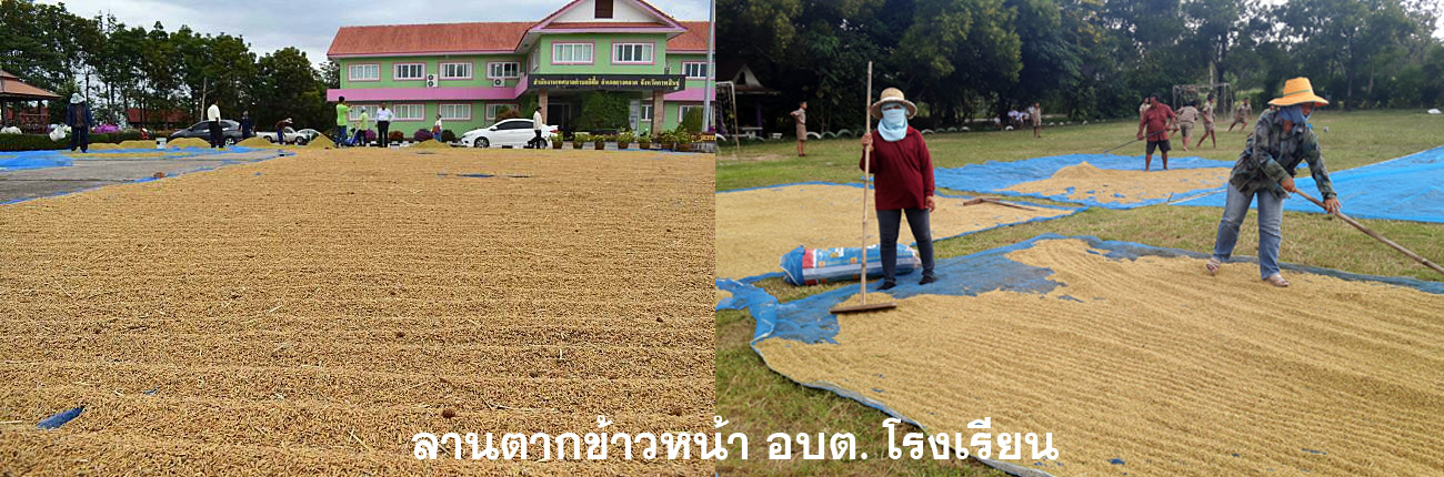 rice on road 08