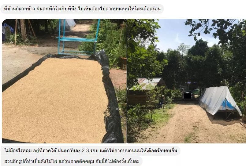 tak kao chaona