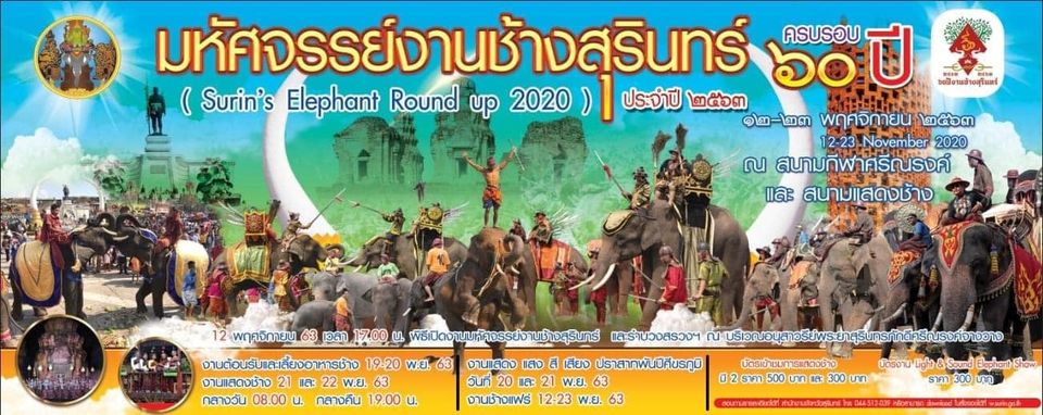 elephants surin 2020 2