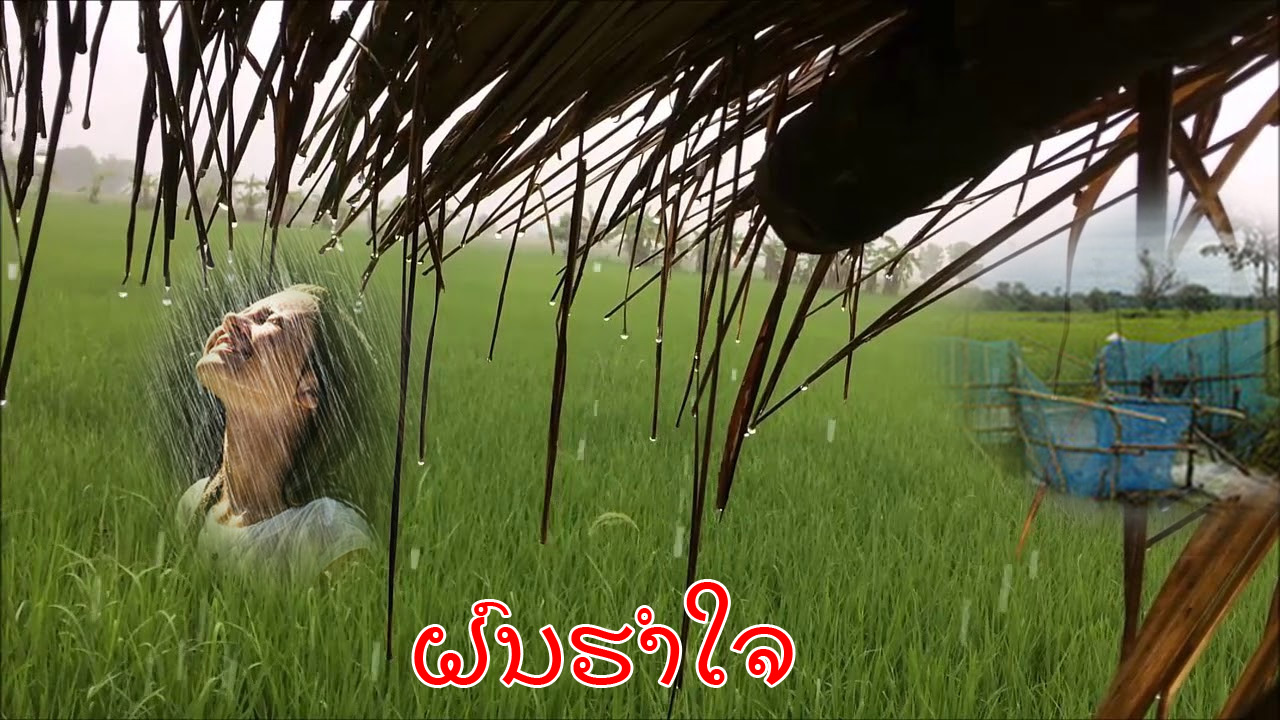 fon hum jai