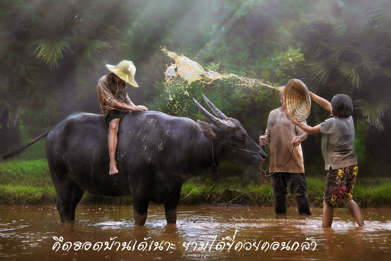 isan banhao 2