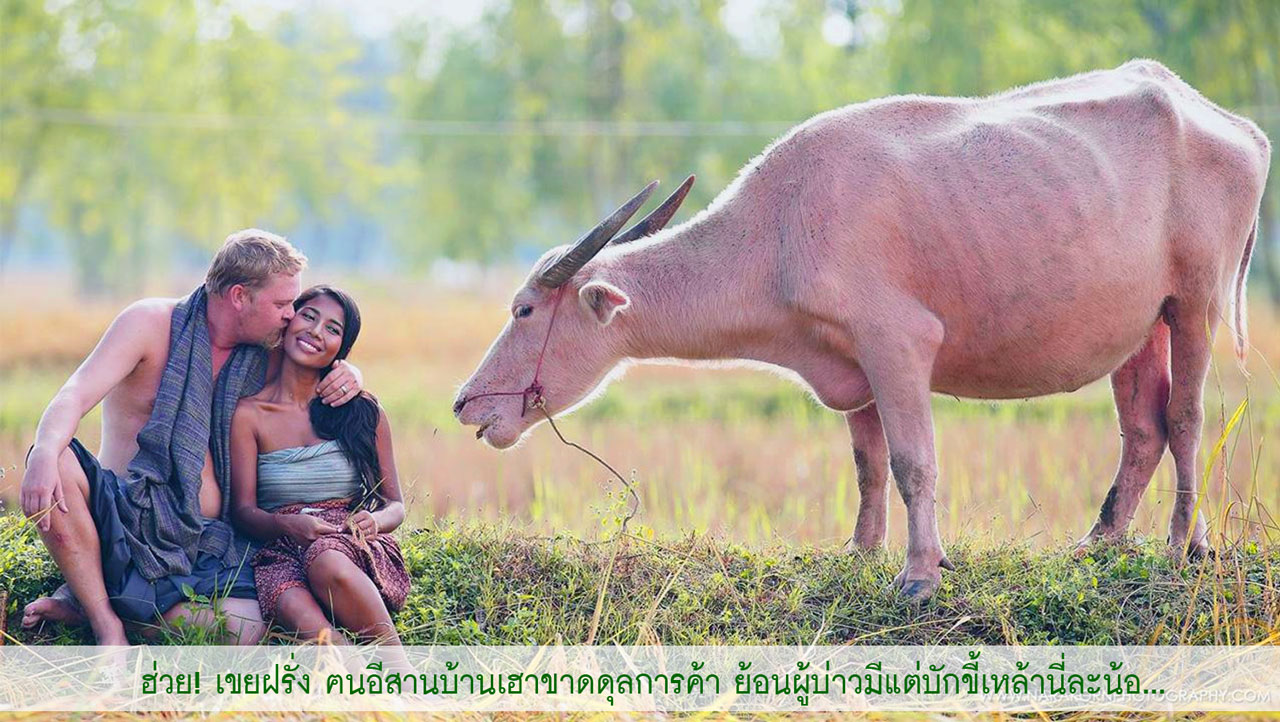 isan banhao 6