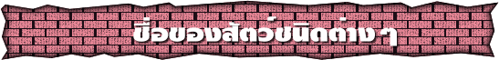 isan word3