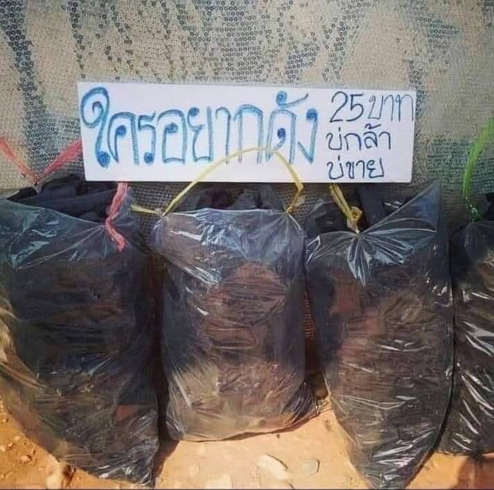 yak dung