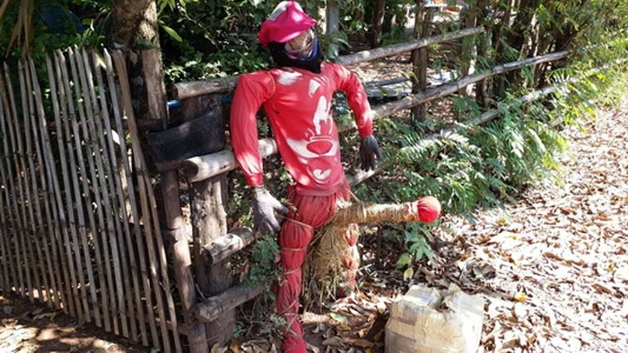 pee mae mai 01